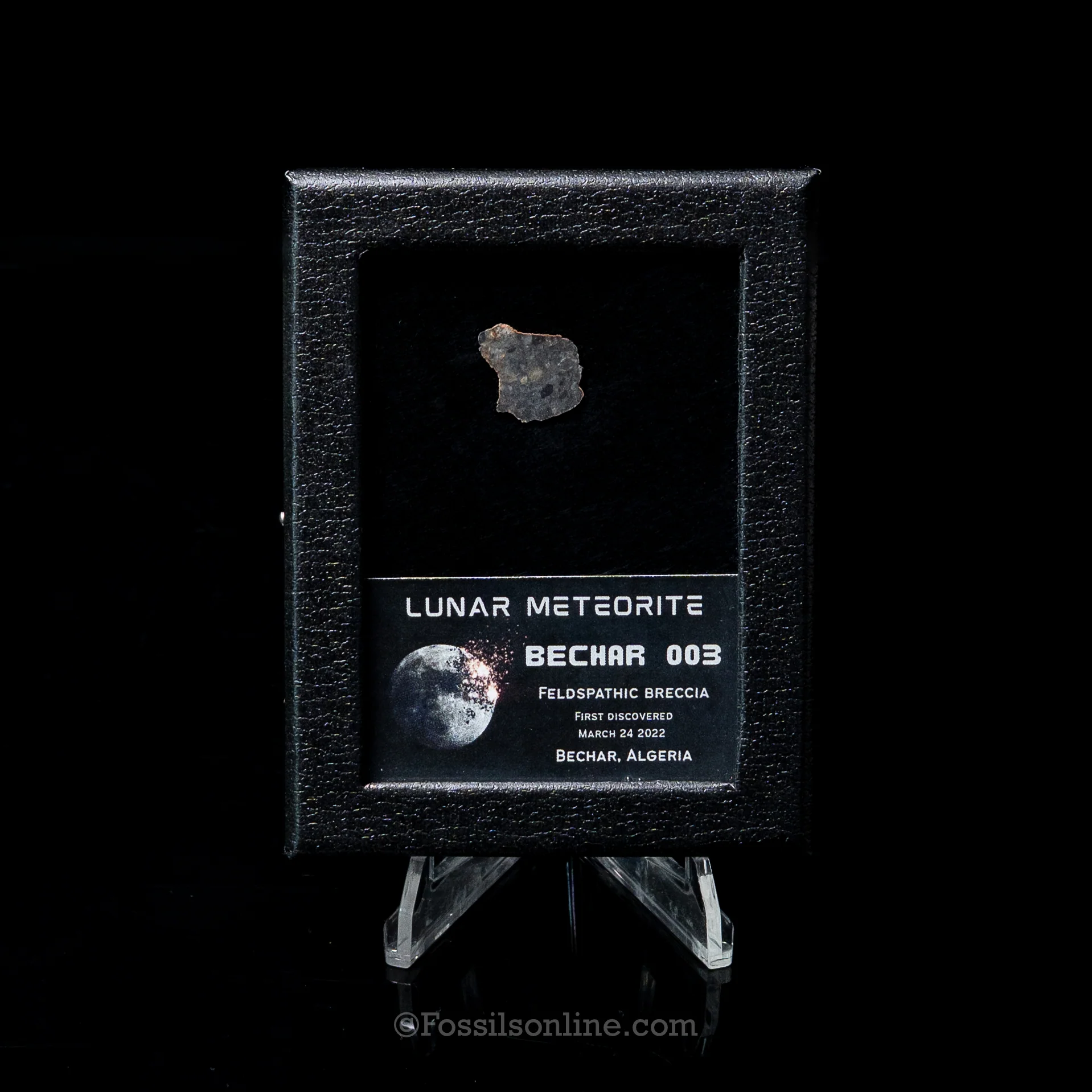 Bechar 003 Lunar Meteorite Slice - Image 3