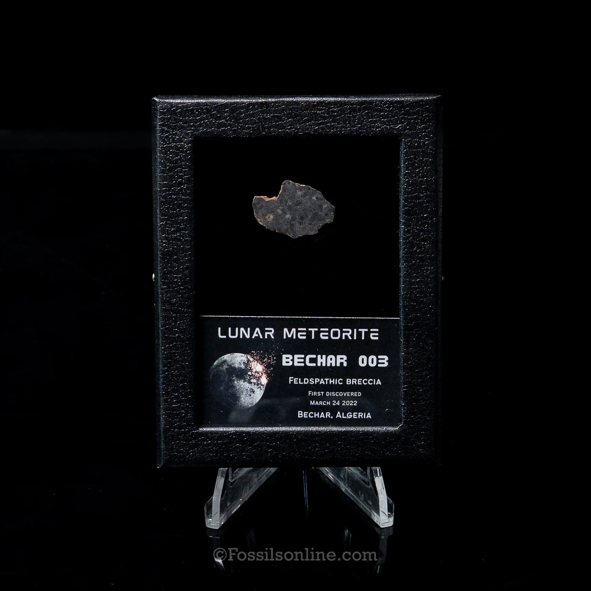 Bechar 003 Lunar Meteorite Slice - Image 4