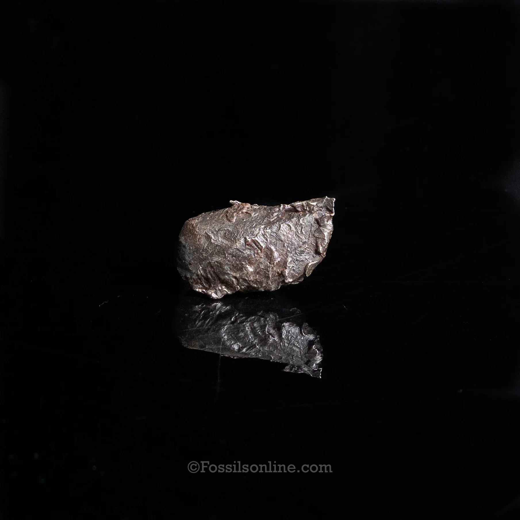 Genuine Sikhote-Alin Meteorite in Glass Dome - Image 3