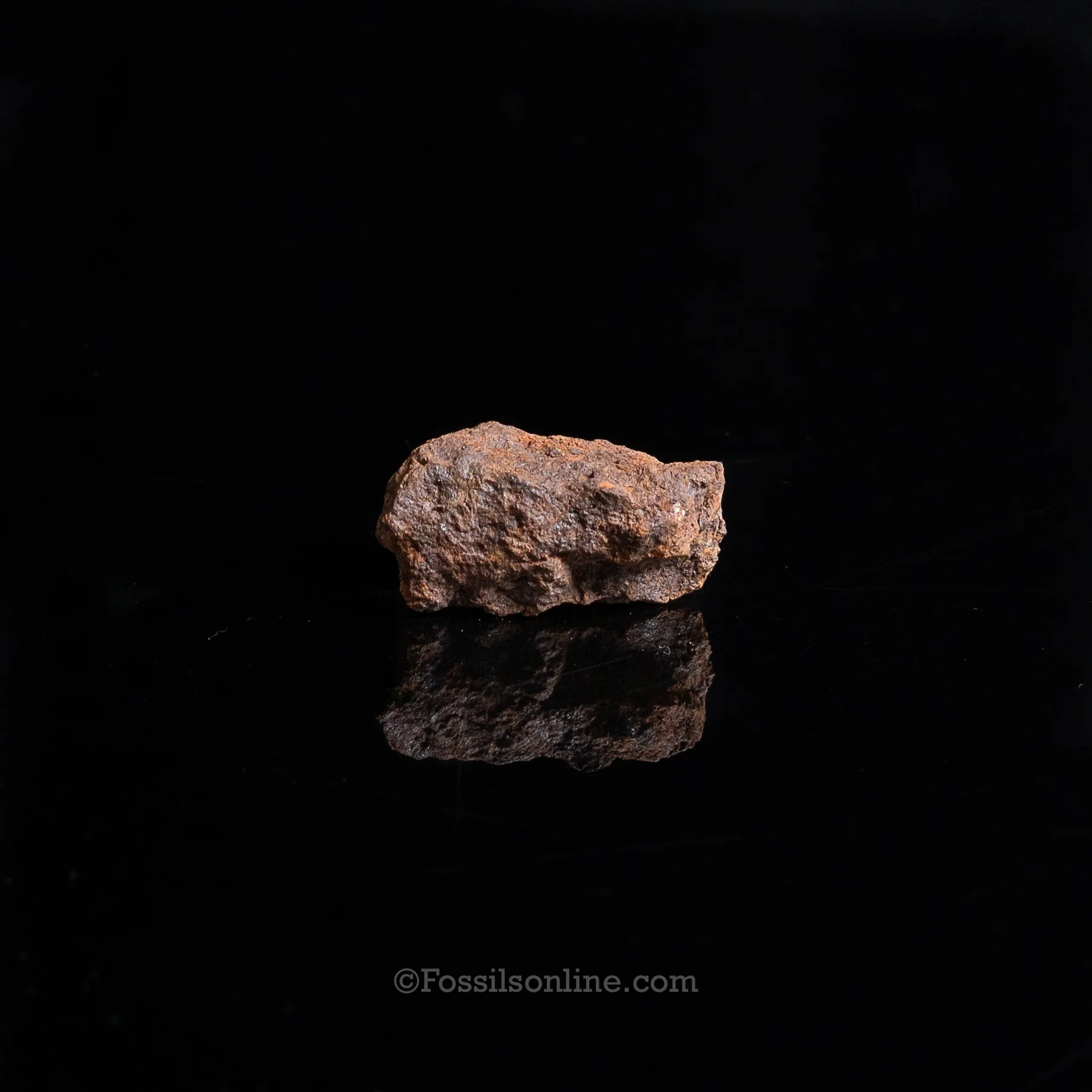Genuine Vaca Muerta Meteorite in Glass Dome - Image 3