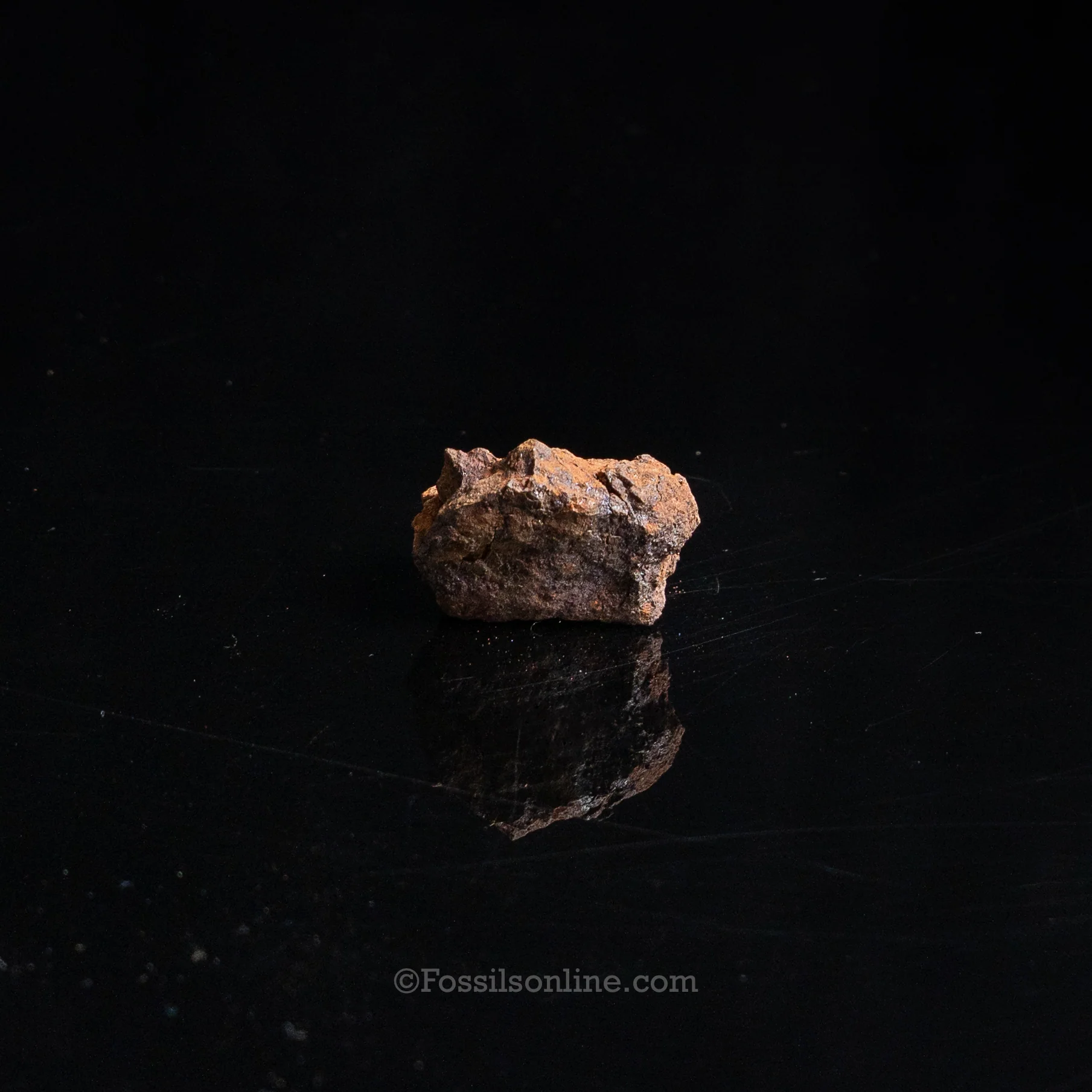 Genuine Vaca Muerta Meteorite in Glass Dome - Image 3