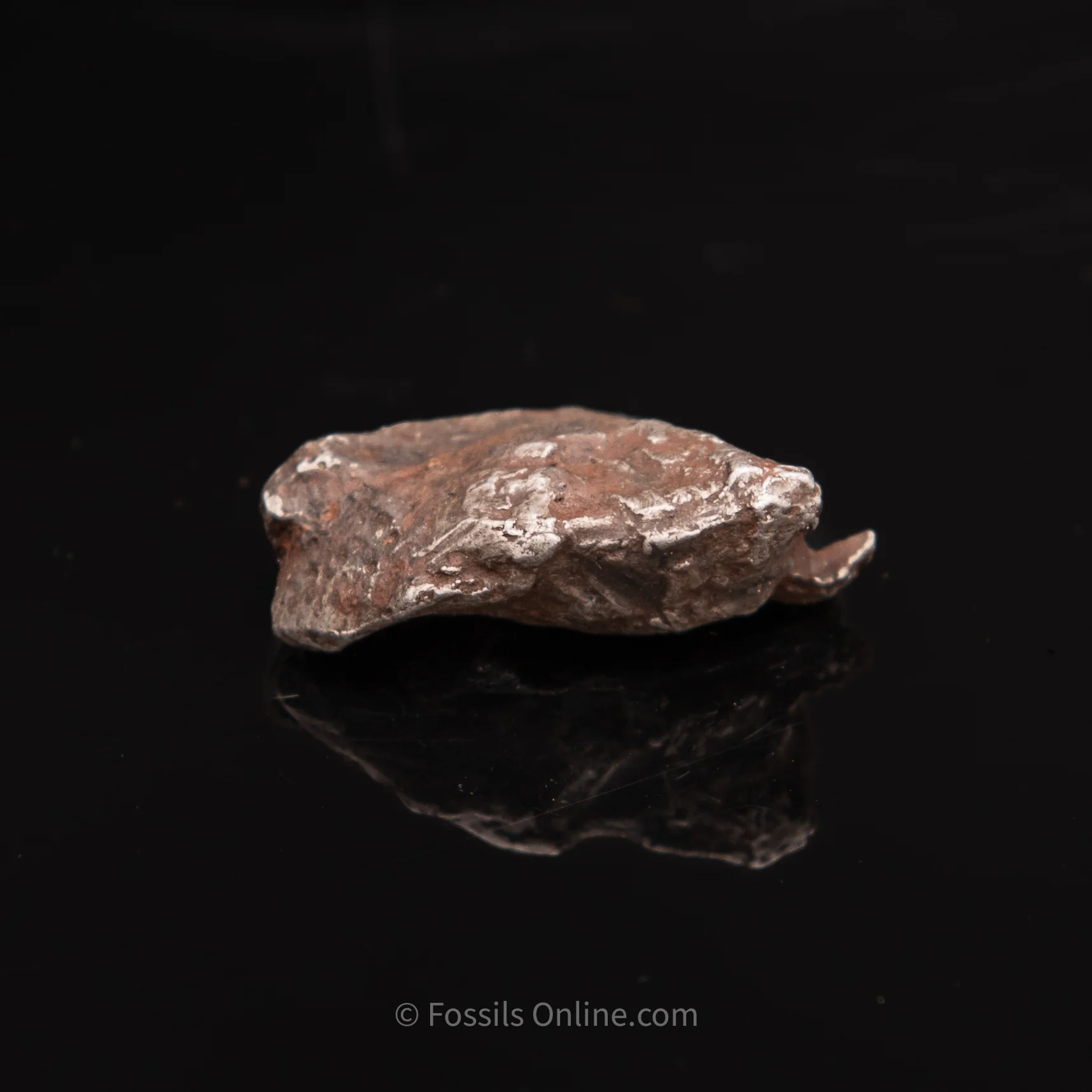 Sikhote-Alin Meteorite 31.2g - Image 3