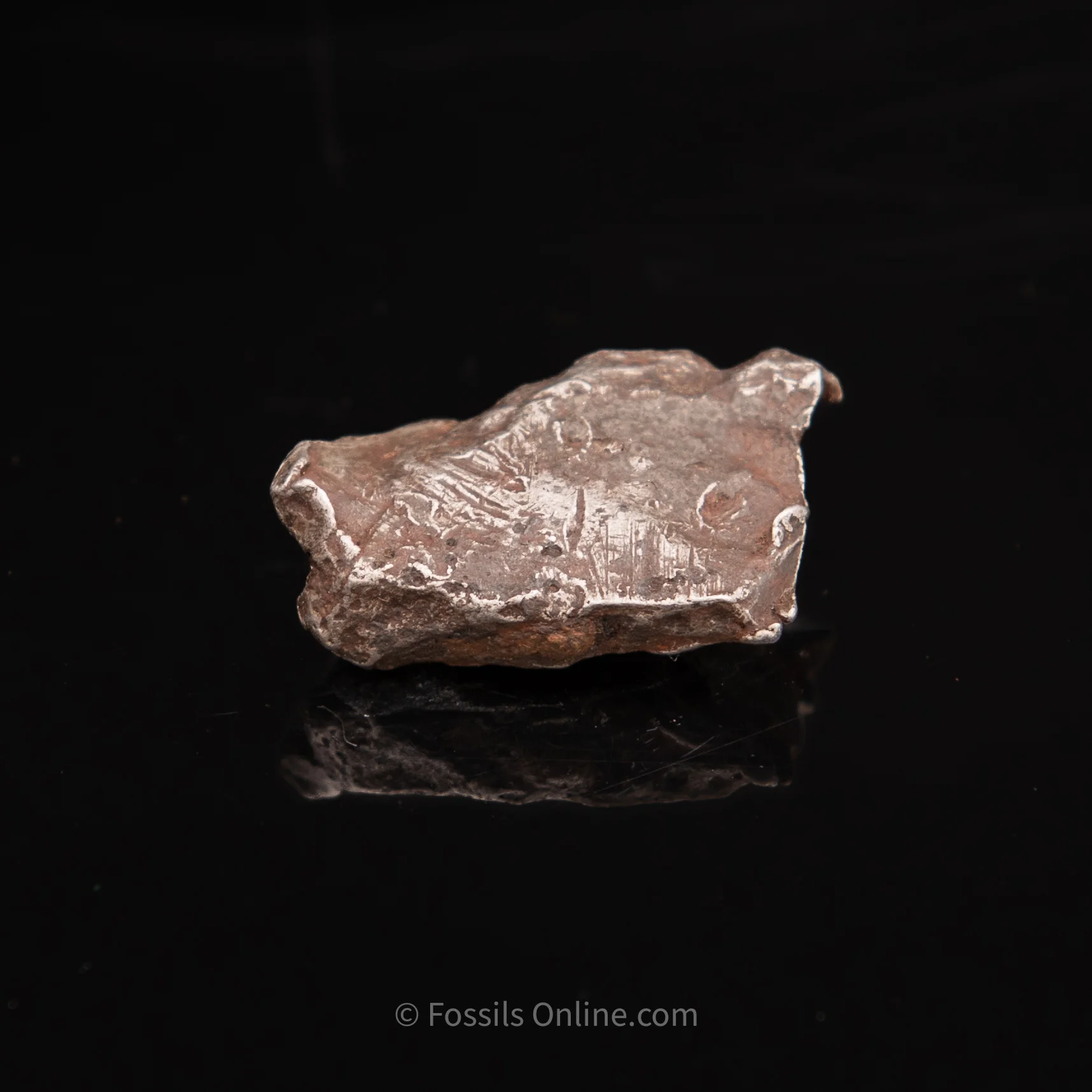 Sikhote-Alin Meteorite 31.2g - Image 4